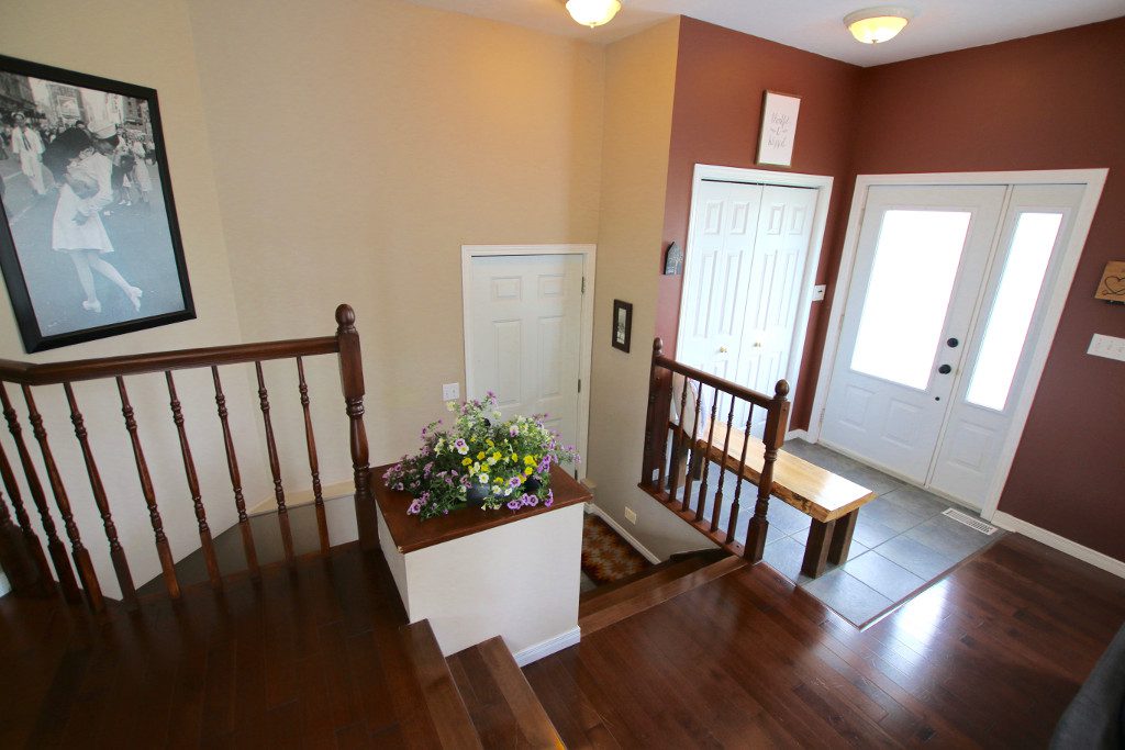 Wild Meadow Studio