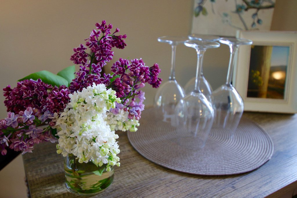 Wild Meadow Studio