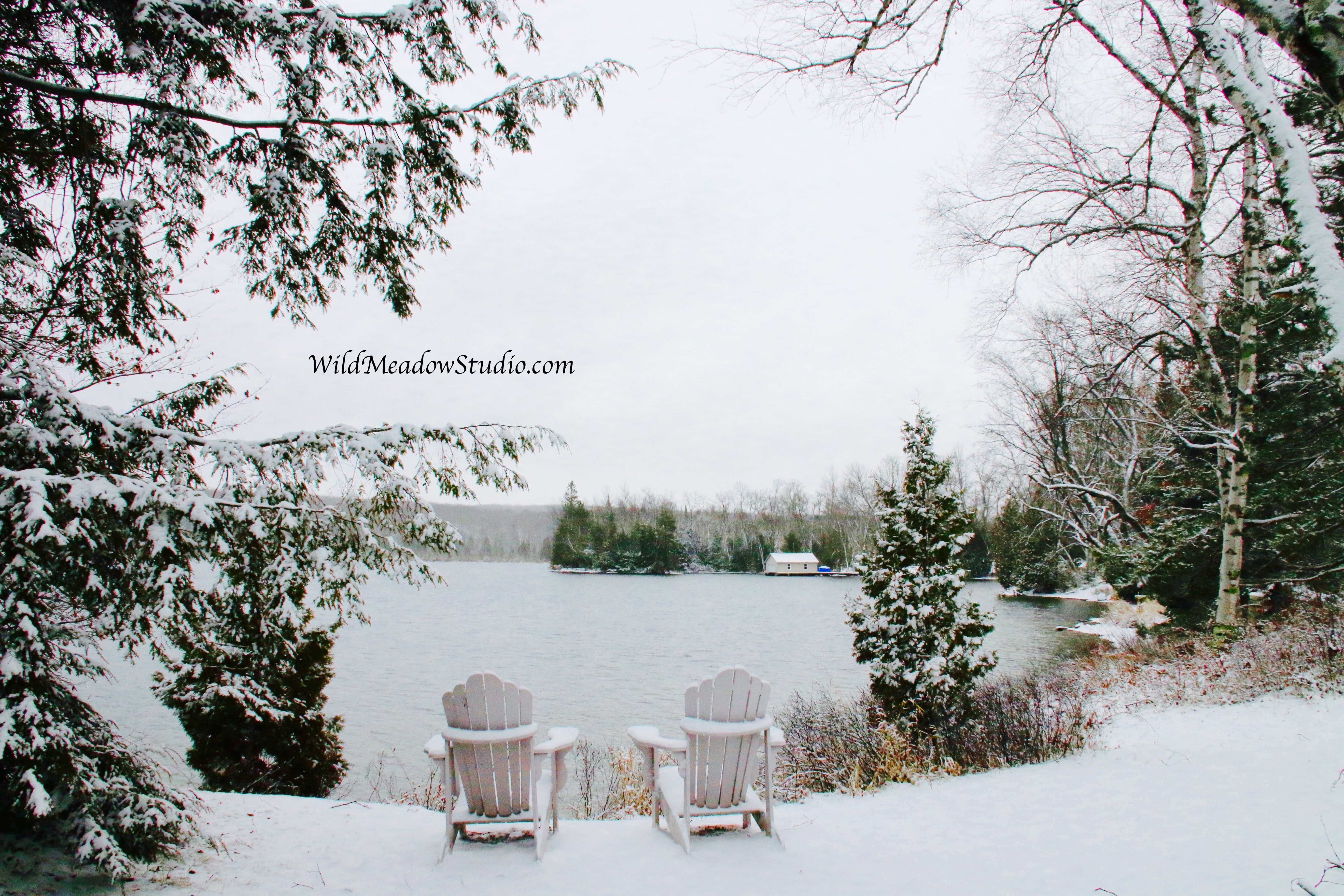 Wild Meadow Studio
