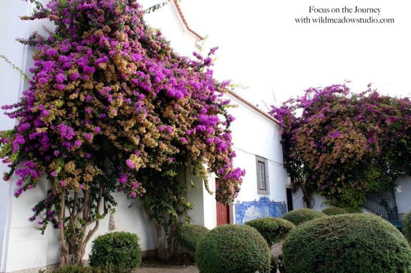 How to Get the Most out of Your Two-Day Visit to Lisbon, Portugal, Including a Detailed Itinerary