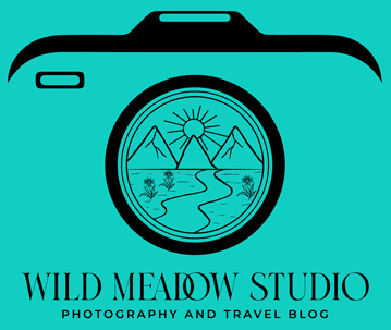 Wild Meadow Studio