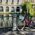 Fine Art Photography